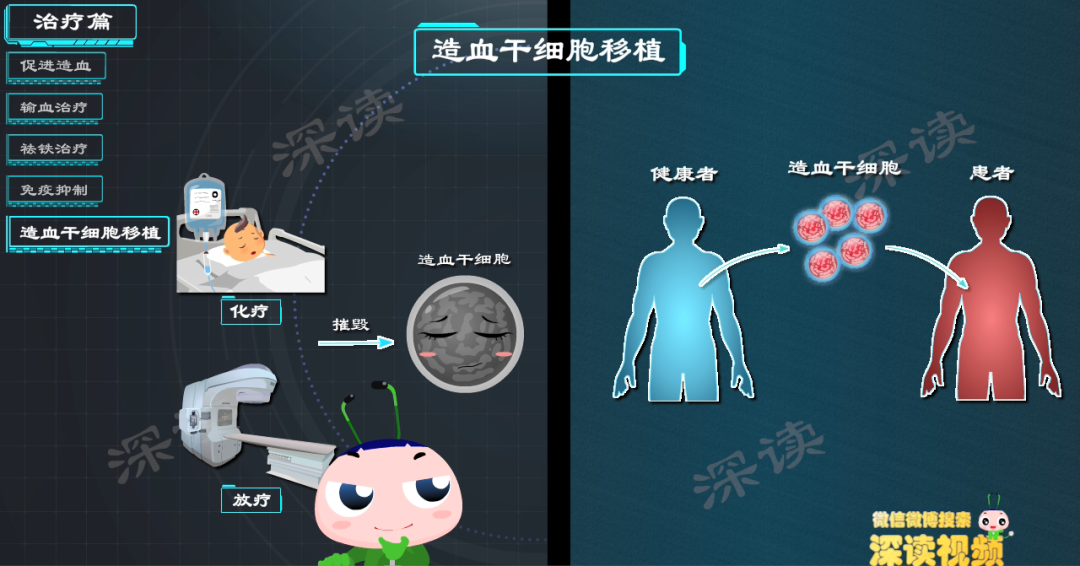 硬科普再生障碍性贫血都能骨髓移植配型咋做说透神秘骨髓移植
