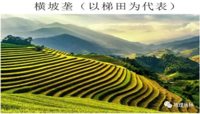 地理视角看垄沟种植|葡萄_新浪新闻