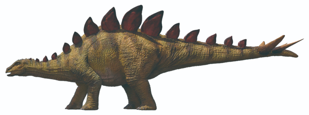 中国起源新证据最古老明星恐龙现身重庆