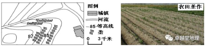 地理视角看垄沟种植|葡萄_新浪新闻