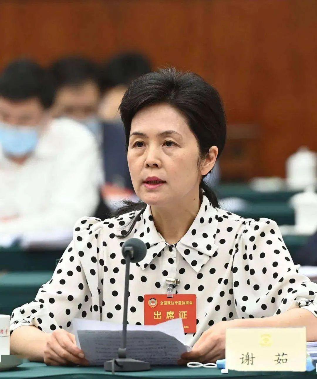 全国政协委员谢茹将积极应对低生育率上升为国家战略