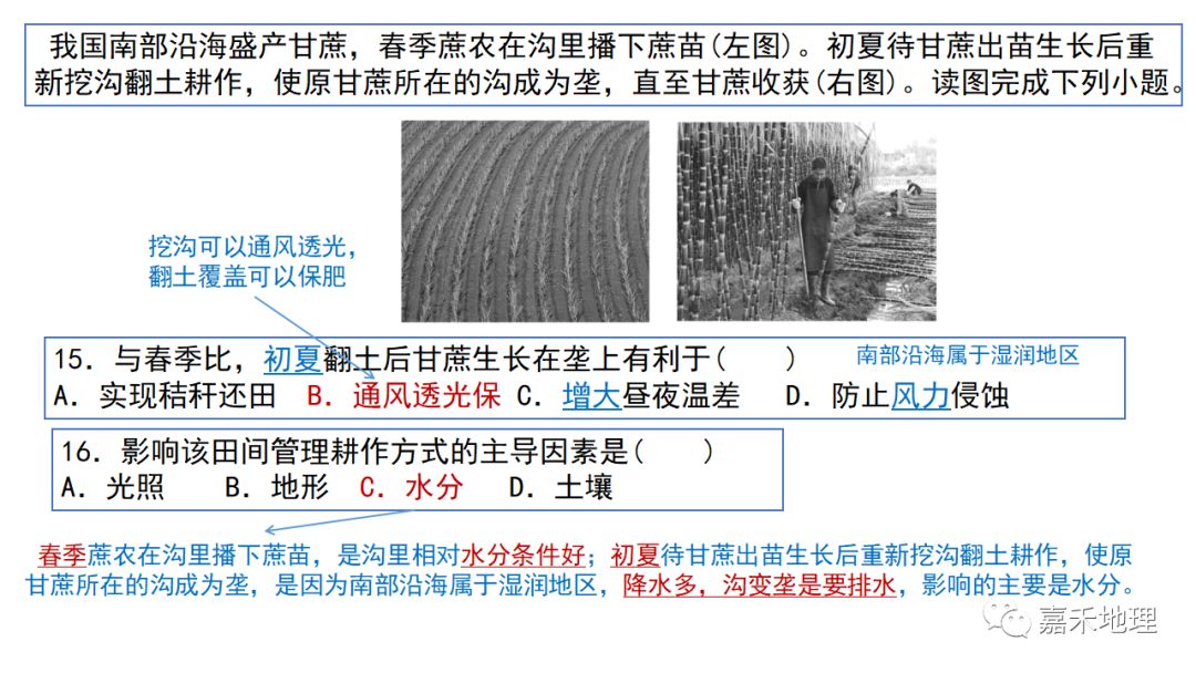 地理视角看垄沟种植|葡萄_新浪新闻