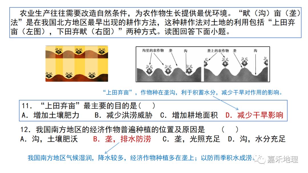 地理视角看垄沟种植|葡萄_新浪新闻