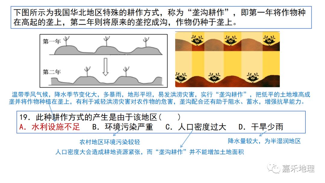 地理视角看垄沟种植|葡萄_新浪新闻
