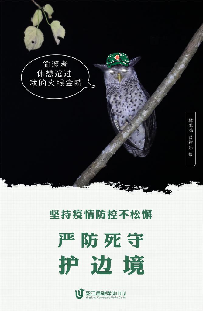 近日,一组动物版防疫宣传海报,利用自然生态摄影师作品,将云南省德宏