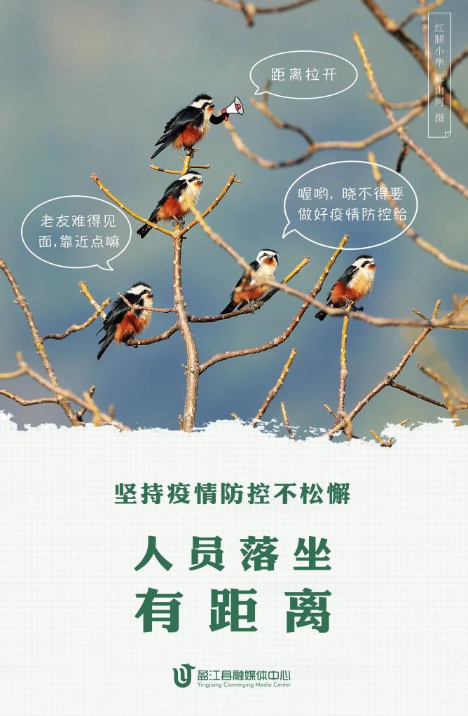 近日,一组动物版防疫宣传海报,利用自然生态摄影师作品,将云南省德宏
