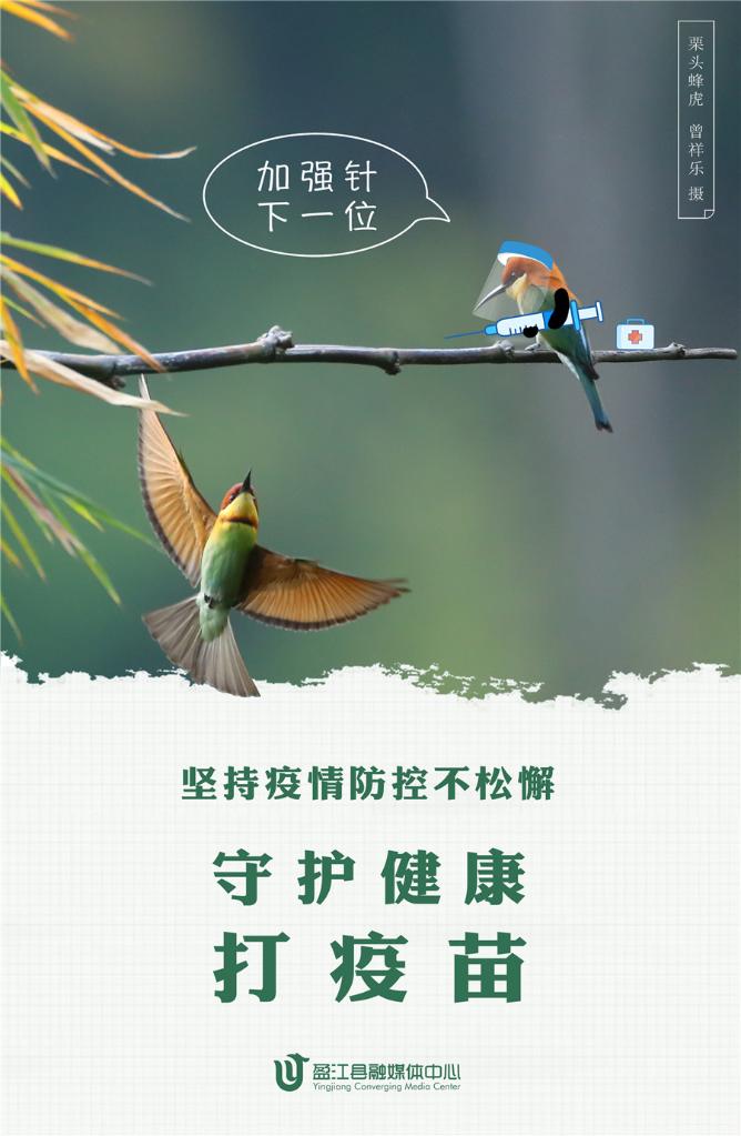 近日,一组动物版防疫宣传海报,利用自然生态摄影师作品,将云南省德宏