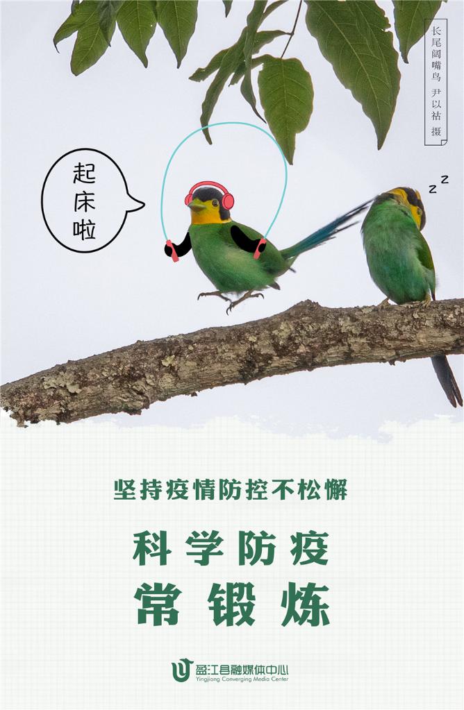 近日,一组动物版防疫宣传海报,利用自然生态摄影师作品,将云南省德宏