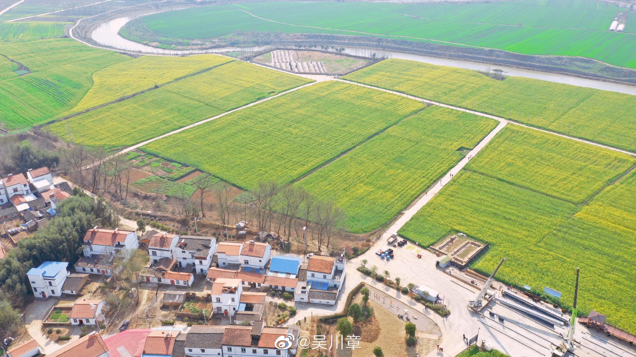 乘着春风游荡在魏河的春天里