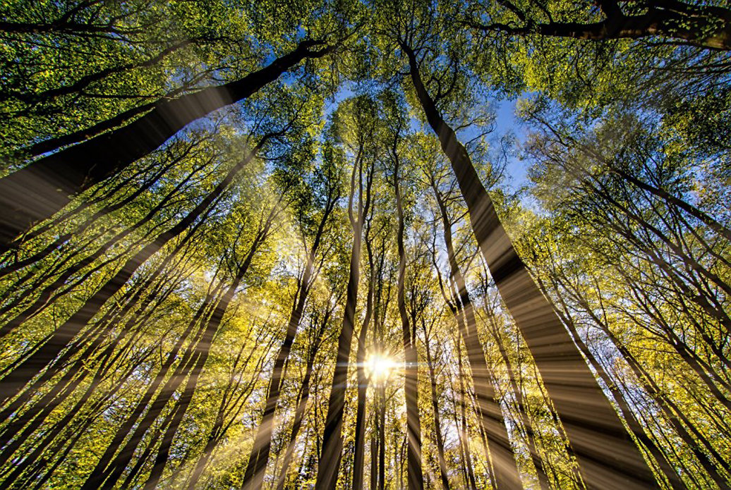 北京天空出现巨型光圈，悬浮10分钟后消失，究竟是什么？休闲区蓝鸢梦想 - Www.slyday.coM