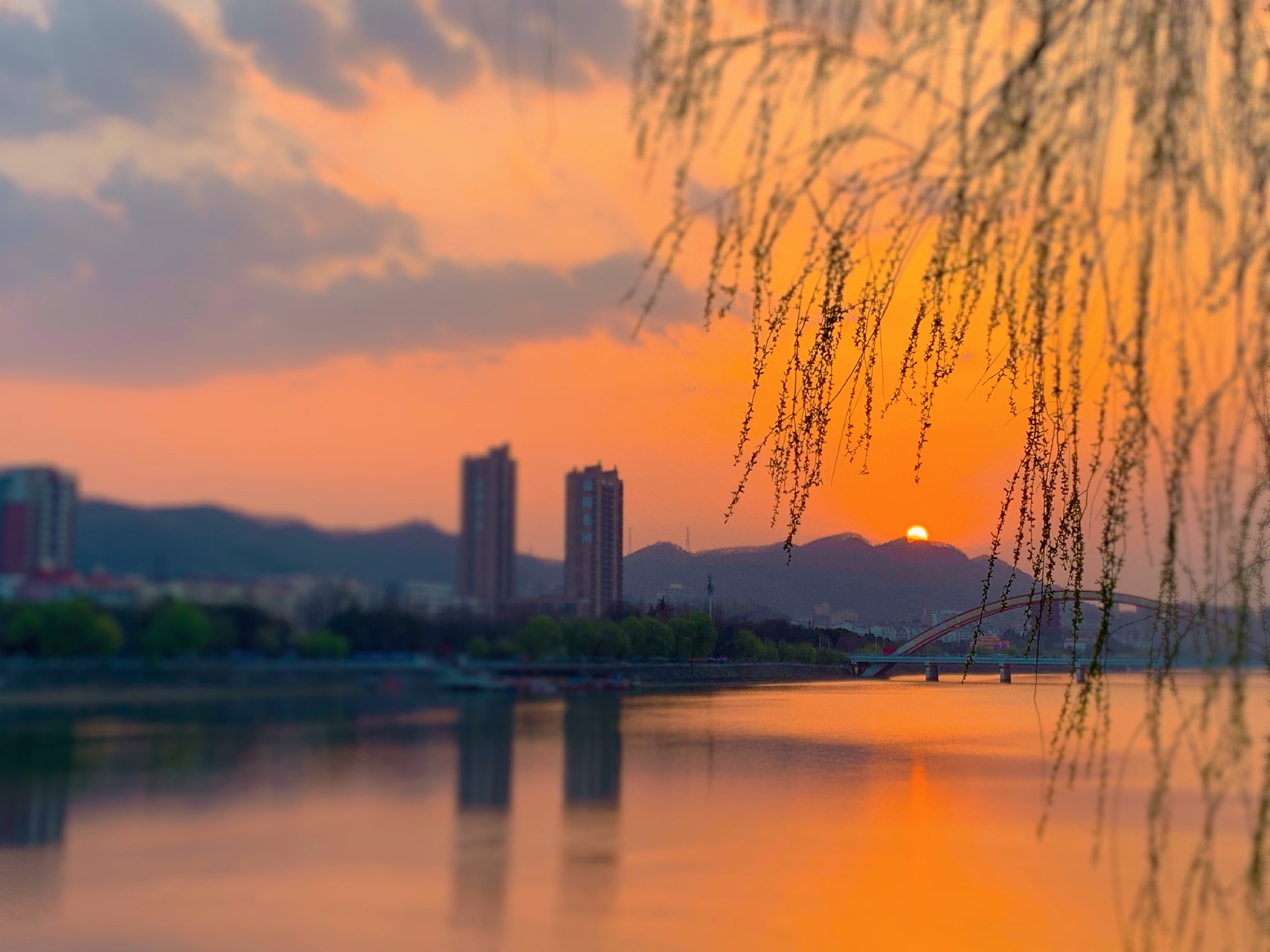 夕阳落下贤山,浉河边的柳芽儿已经悄悄醒来 图|信阳市_新浪新闻