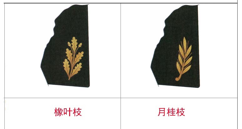 俄军勤务服的领花大有玄机等级森严国防部长最高贵