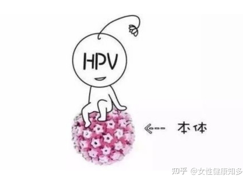 叶辰萧初然最后在一起还是离婚了 他们的故事到底如何发展