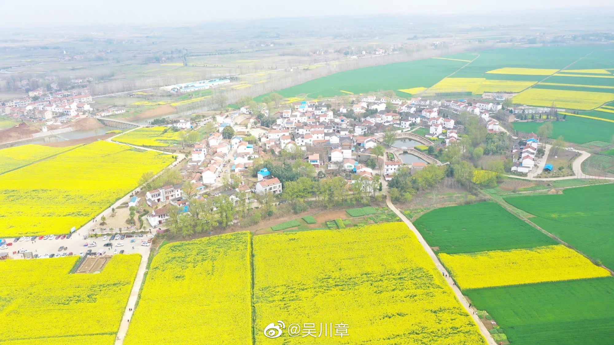 乘着春风游荡在魏河的春天里