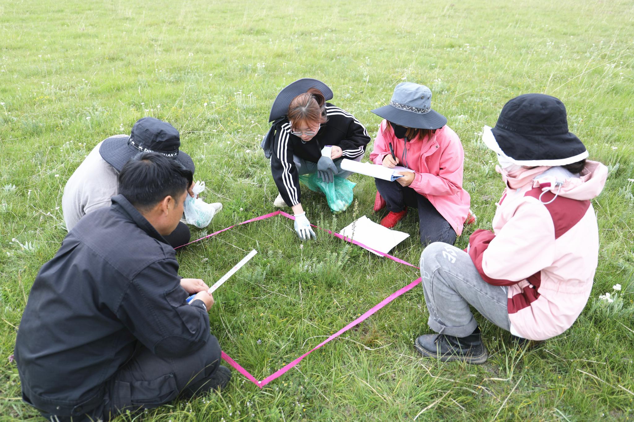 青海湖生物多样性持续向好