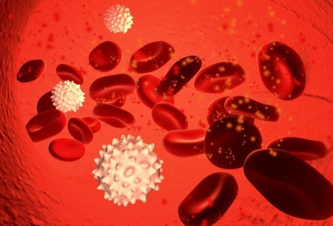 可怕！新冠后遗症会造成大脑萎缩，轻症也不例外！得一次衰老1休闲区蓝鸢梦想 - Www.slyday.coM