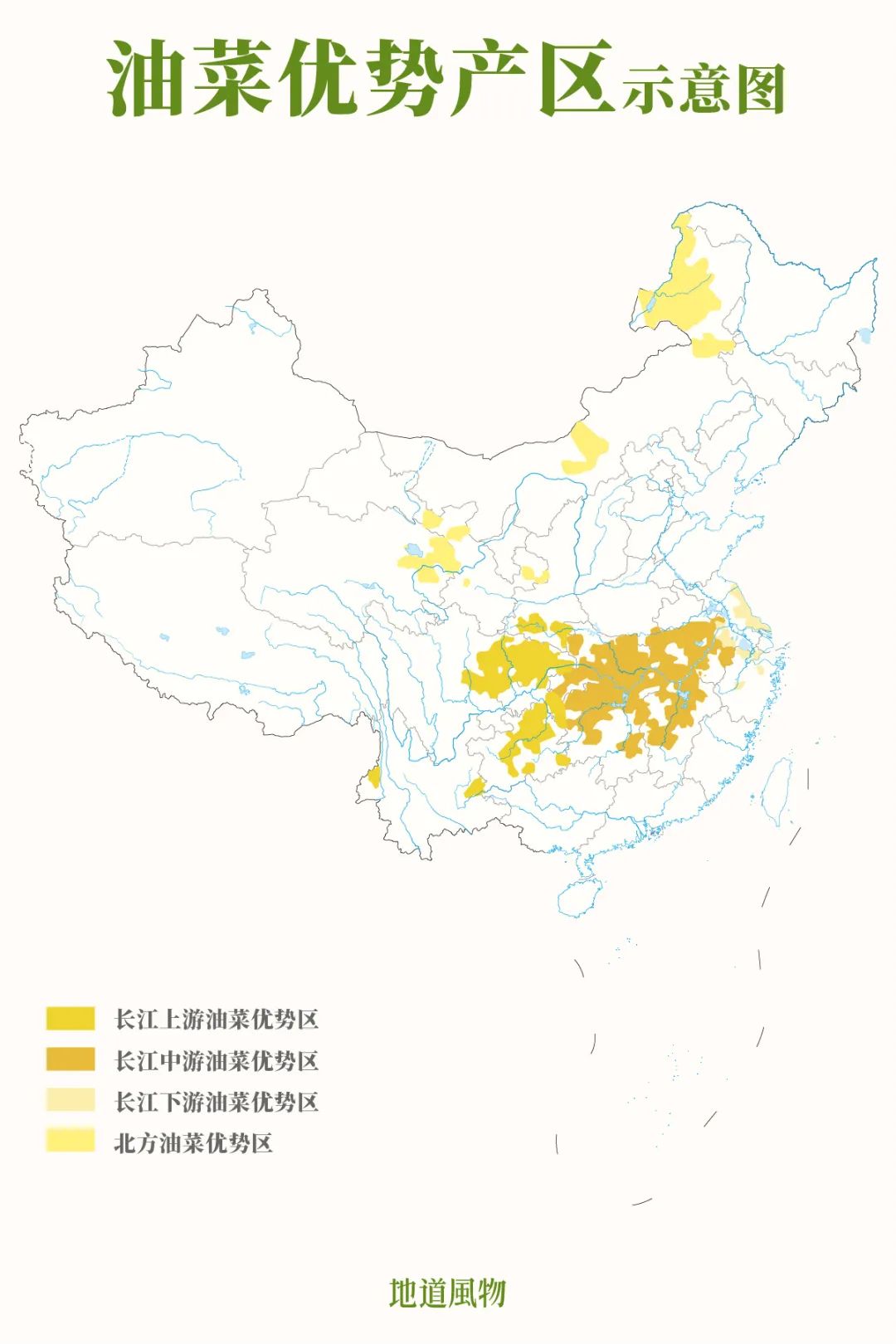 没有一位妈妈能拒绝丝巾和油菜花