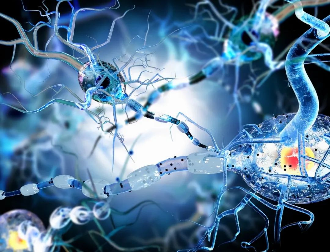 可怕！新冠后遗症会造成大脑萎缩，轻症也不例外！得一次衰老1休闲区蓝鸢梦想 - Www.slyday.coM