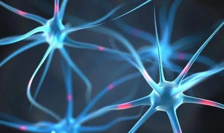 可怕！新冠后遗症会造成大脑萎缩，轻症也不例外！得一次衰老1休闲区蓝鸢梦想 - Www.slyday.coM