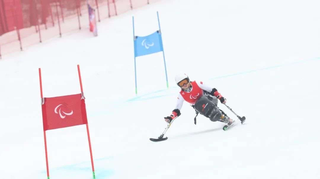 祝福速度赶不上中国队夺牌速度！休闲区蓝鸢梦想 - Www.slyday.coM