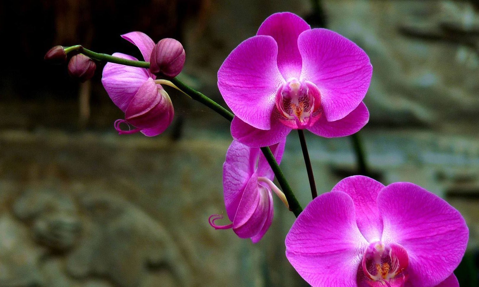 2022年春分,好运开启,迎来喜讯,发财成双,收获丰厚的生肖休闲区蓝鸢梦想 - Www.slyday.coM 2022年春分,好运开启,迎来喜讯,发财成双,收获丰厚的生肖休闲区蓝鸢梦想 - Www.slyday.coM