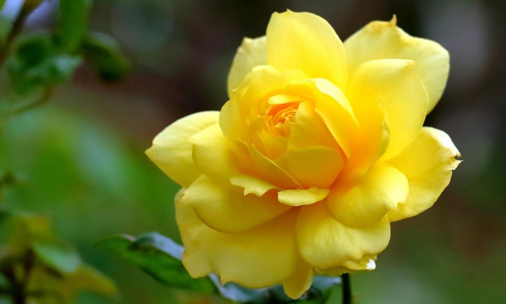 2022年春分,好运开启,迎来喜讯,发财成双,收获丰厚的生肖休闲区蓝鸢梦想 - Www.slyday.coM 2022年春分,好运开启,迎来喜讯,发财成双,收获丰厚的生肖休闲区蓝鸢梦想 - Www.slyday.coM