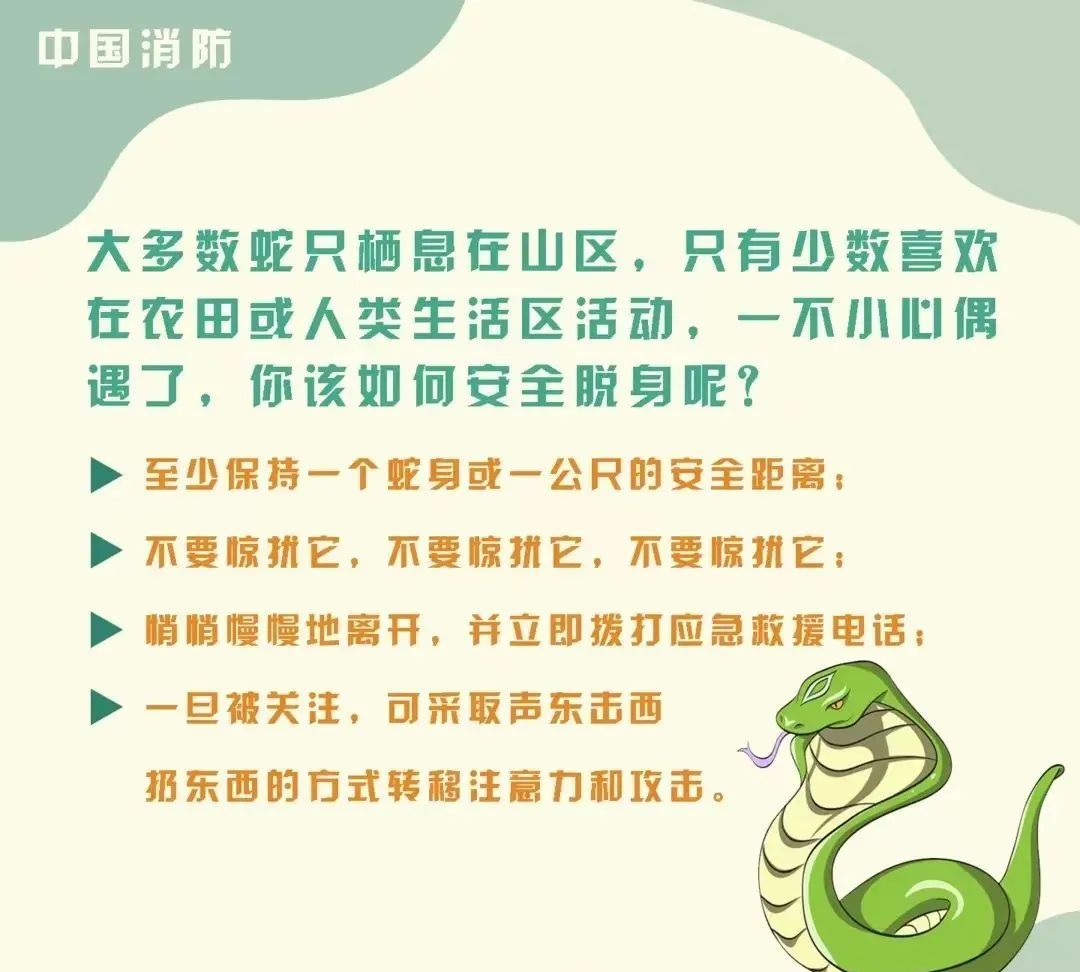 毒蛇出没不止一条