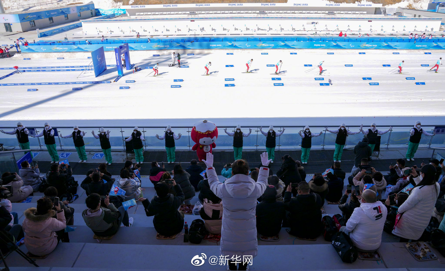 被冬残奥会的无声气氛组暖到了休闲区蓝鸢梦想 - Www.slyday.coM