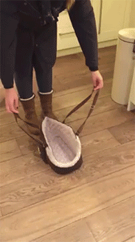 朋友遛狗不栓绳,一个包包就能乖乖带狗出去,还不怕丢!休闲区蓝鸢梦想 - Www.slyday.coM 朋友遛狗不栓绳,一个包包就能乖乖带狗出去,还不怕丢!休闲区蓝鸢梦想 - Www.slyday.coM