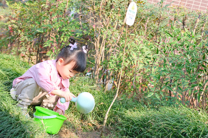 黄州某小区对居民的爱，已经到了宠溺的程度休闲区蓝鸢梦想 - Www.slyday.coM