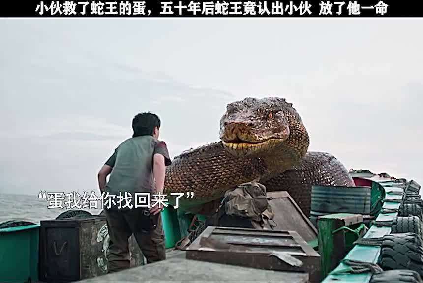 万物皆有灵小伙救了蛇王的孩子五十年后蛇王又放他一命电影蛇岛狂蟒