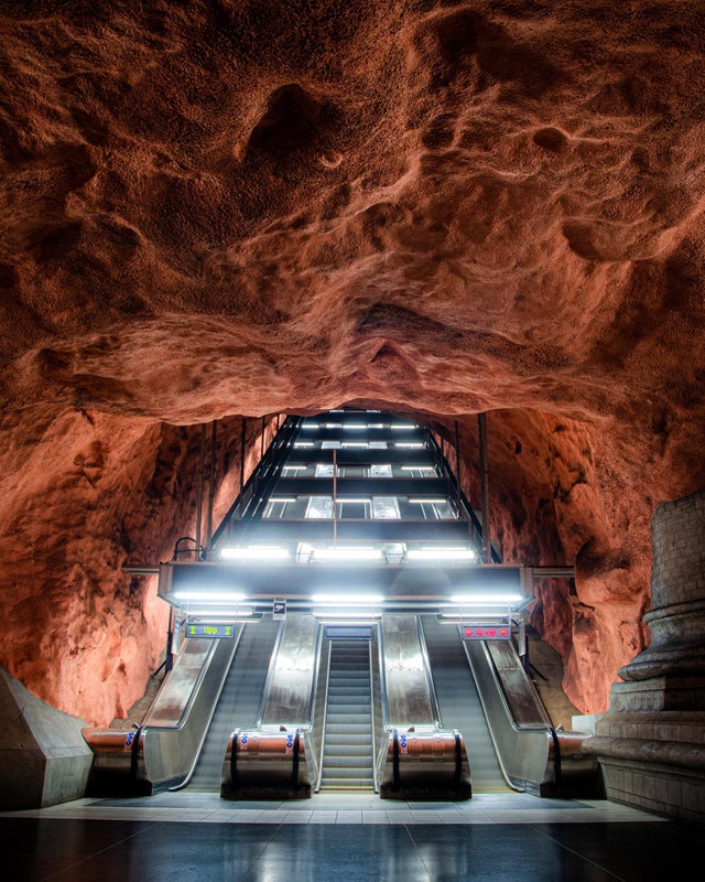 32张活久未见的照片，8岁女孩智商超过爱因斯坦，世界上最大的花休闲区蓝鸢梦想 - Www.slyday.coM