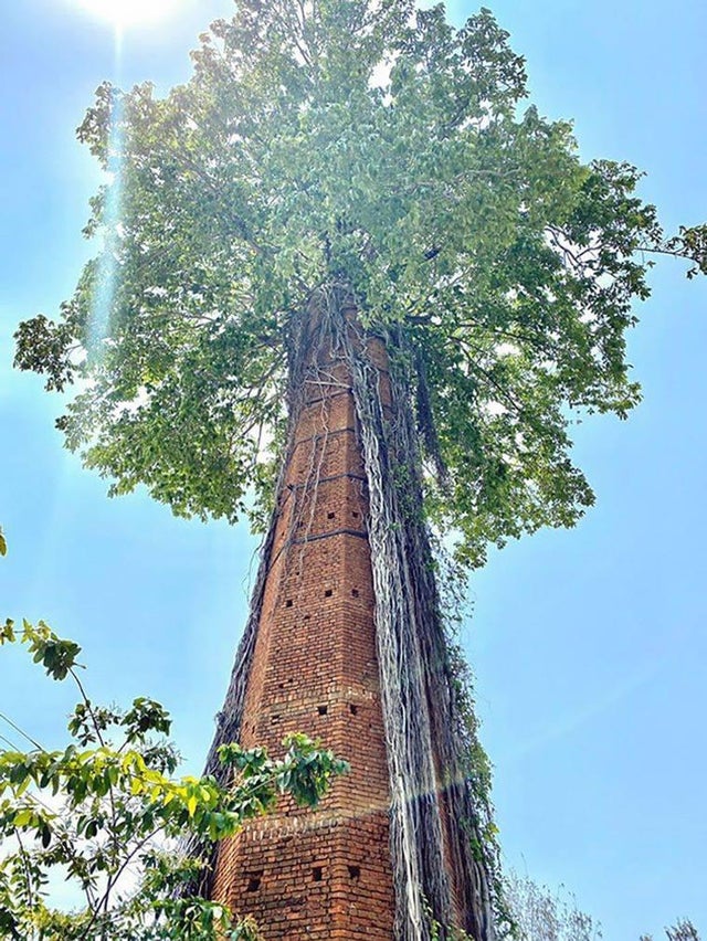 32张活久未见的照片，8岁女孩智商超过爱因斯坦，世界上最大的花休闲区蓝鸢梦想 - Www.slyday.coM