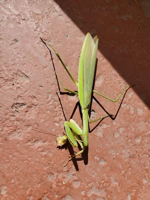 32张活久未见的照片，8岁女孩智商超过爱因斯坦，世界上最大的花休闲区蓝鸢梦想 - Www.slyday.coM