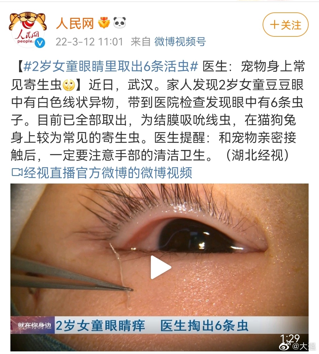 这条消息告诉了我们,养宠物千万不要懒,要定期驱虫……|宠物|寄生虫
