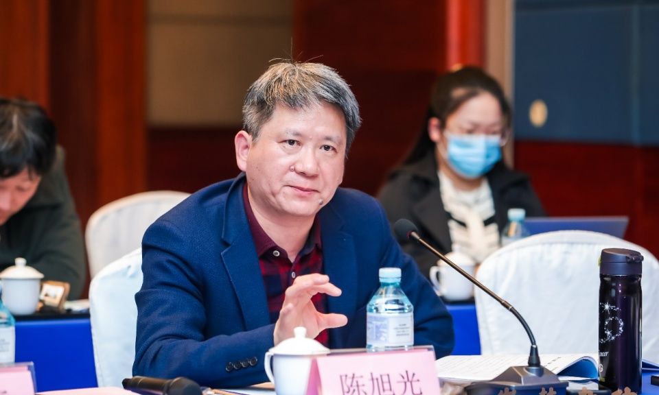 影视戏剧研究中心主任,教育部"长江学者"特聘教授陈旭光从创意制胜,以