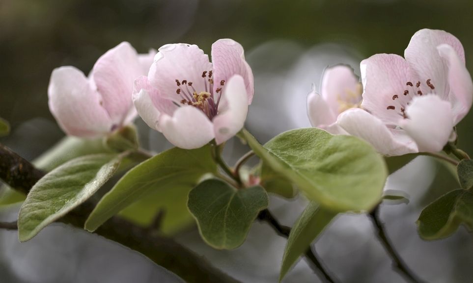 2022年春分,好运开启,迎来喜讯,发财成双,收获丰厚的生肖休闲区蓝鸢梦想 - Www.slyday.coM 2022年春分,好运开启,迎来喜讯,发财成双,收获丰厚的生肖休闲区蓝鸢梦想 - Www.slyday.coM