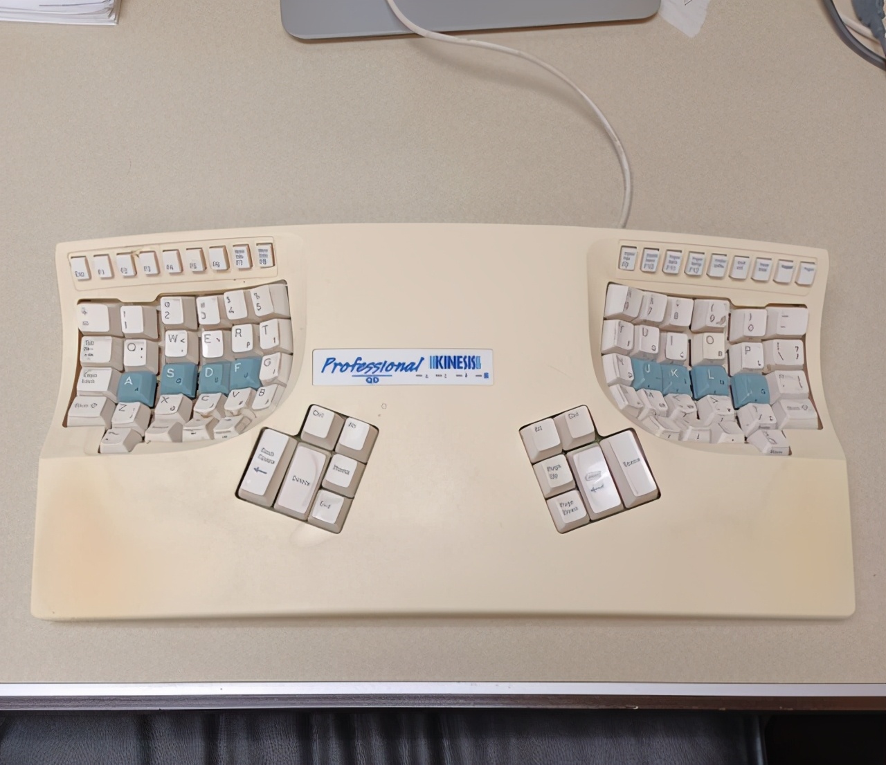 32张活久未见的照片，8岁女孩智商超过爱因斯坦，世界上最大的花休闲区蓝鸢梦想 - Www.slyday.coM