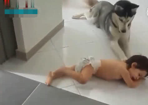 哈士奇被小主人压住腿睡觉，它却抬起脚使劲踹宝宝头，家人看懵了休闲区蓝鸢梦想 - Www.slyday.coM