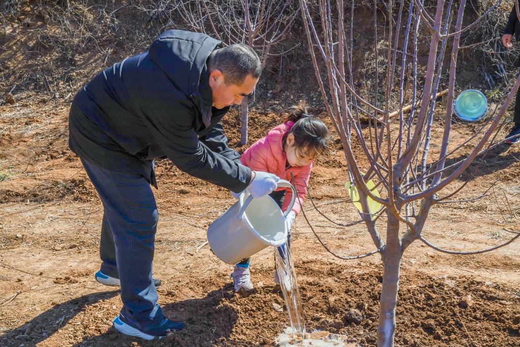 新华全媒丨40年你被植树造林种草了吗