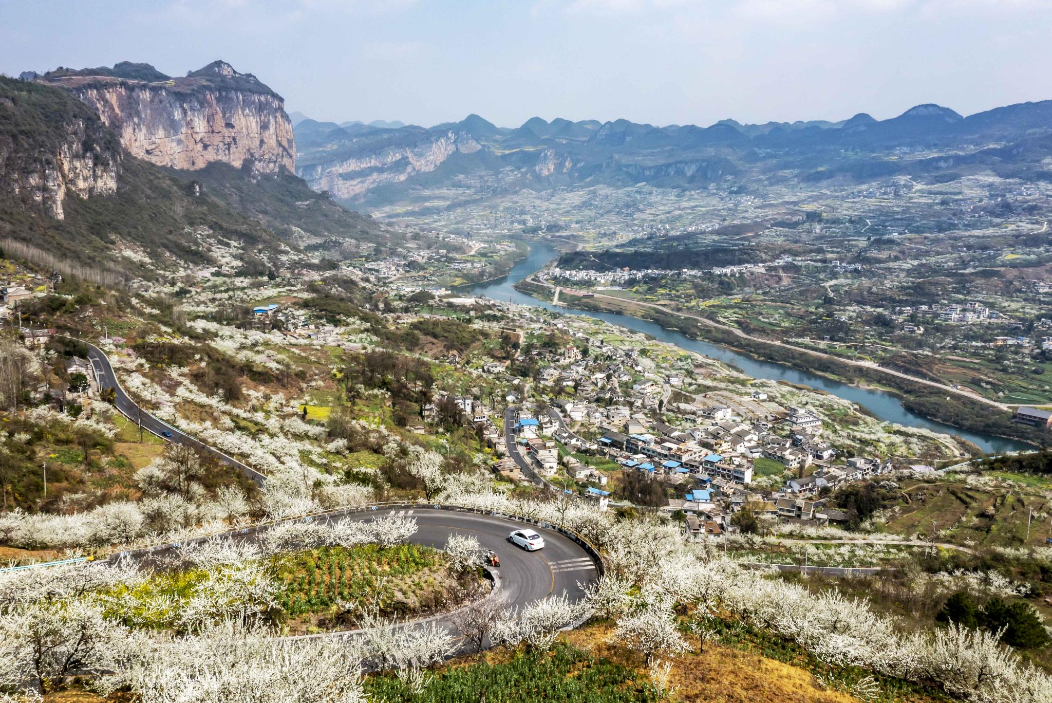 3月12日拍摄的贵州省黔西市大关镇丘林村春色(无人机照片).
