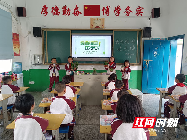 永州市德雅学校开展"敬畏生命,我为校园添点绿"主题活动|永州市_新浪