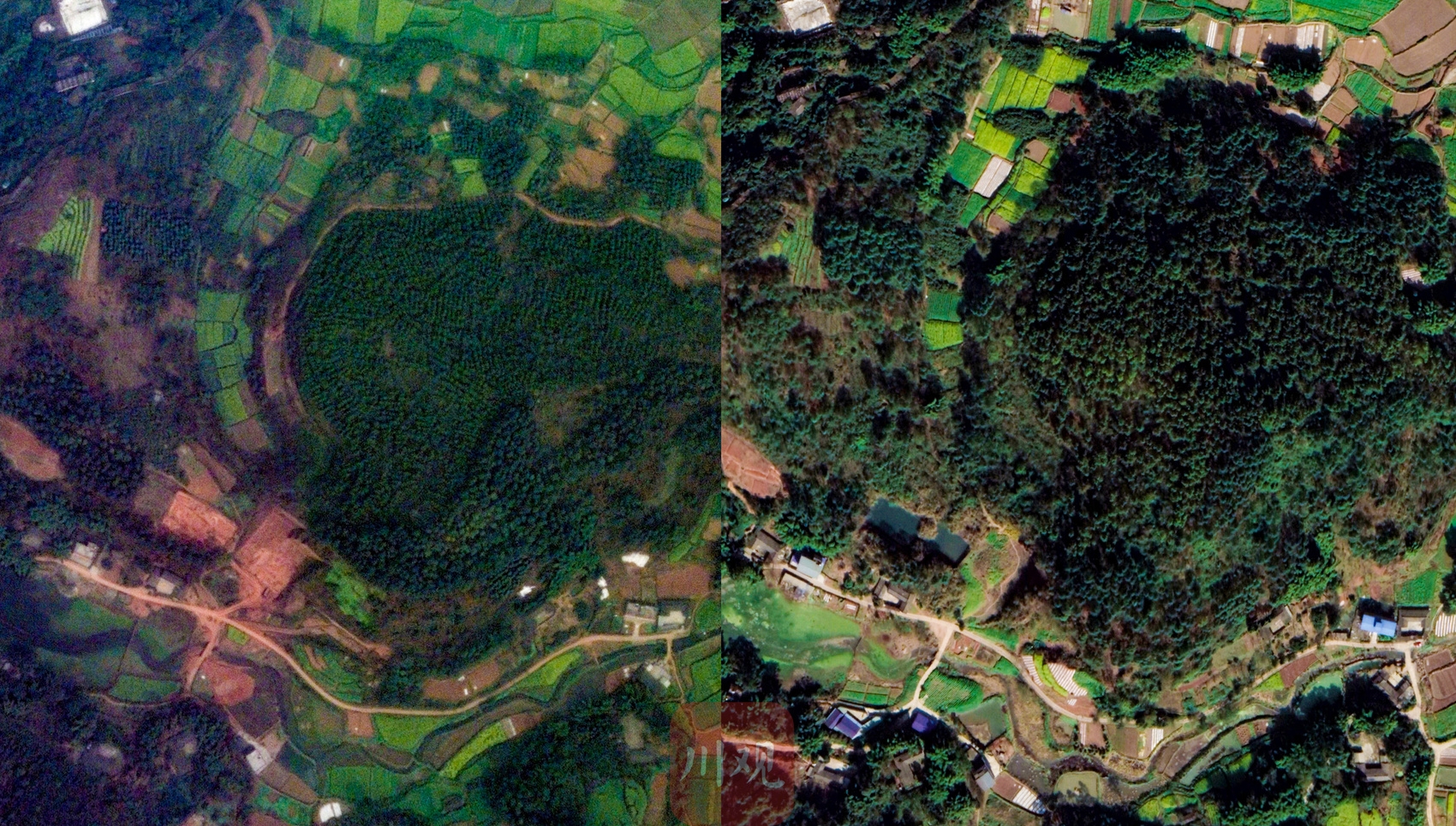 卫星看四川｜植树节 60万米高空瞰四川的“地球之肺”休闲区蓝鸢梦想 - Www.slyday.coM