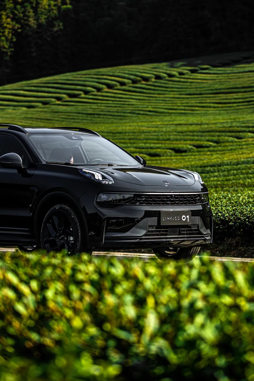 都是suv市场现象级车型,领克01与cr-v能否有得一拼?__财经头条