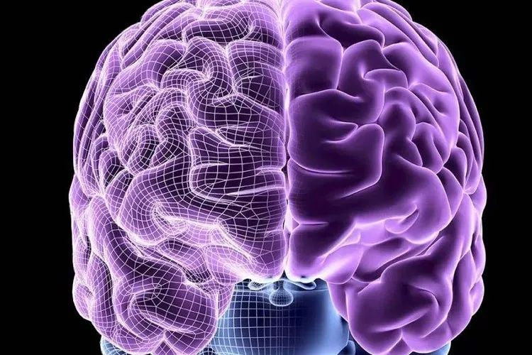 警惕！最新研究表明，新冠后遗症会造成大脑萎缩，轻症也不例外！休闲区蓝鸢梦想 - Www.slyday.coM