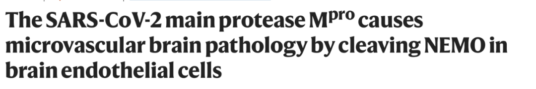 警惕！最新研究表明，新冠后遗症会造成大脑萎缩，轻症也不例外！休闲区蓝鸢梦想 - Www.slyday.coM