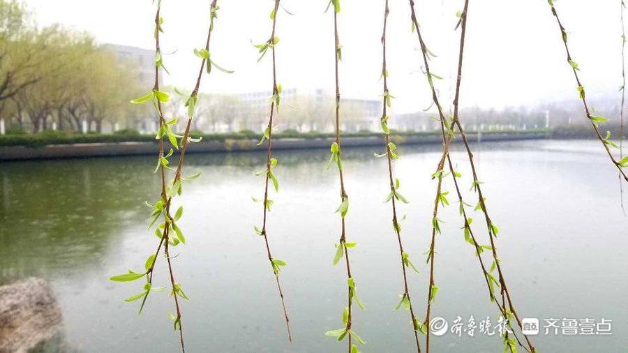 春雨贵如油，棉袄先别收！情报员用镜头记录雨中实况，一起看看吧休闲区蓝鸢梦想 - Www.slyday.coM