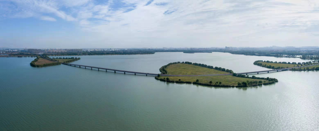 湖心岛上植新绿苏相合作区举行春来漕湖绿动蓝海植树节活动