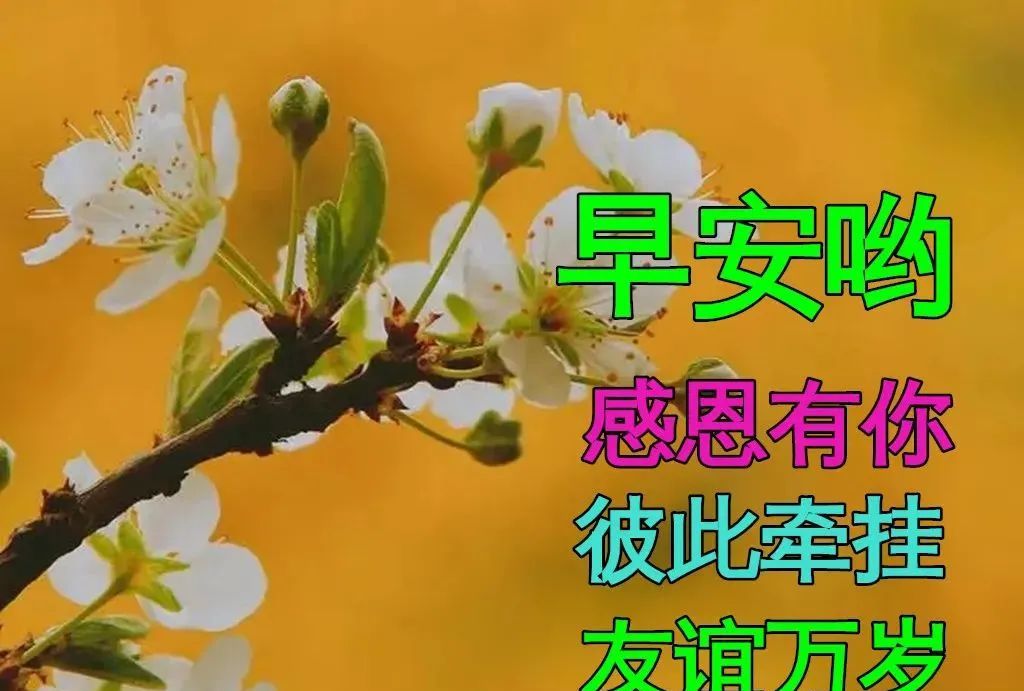春天早上好暖心语录祝福图片大全很有创意的早安精美图片带字