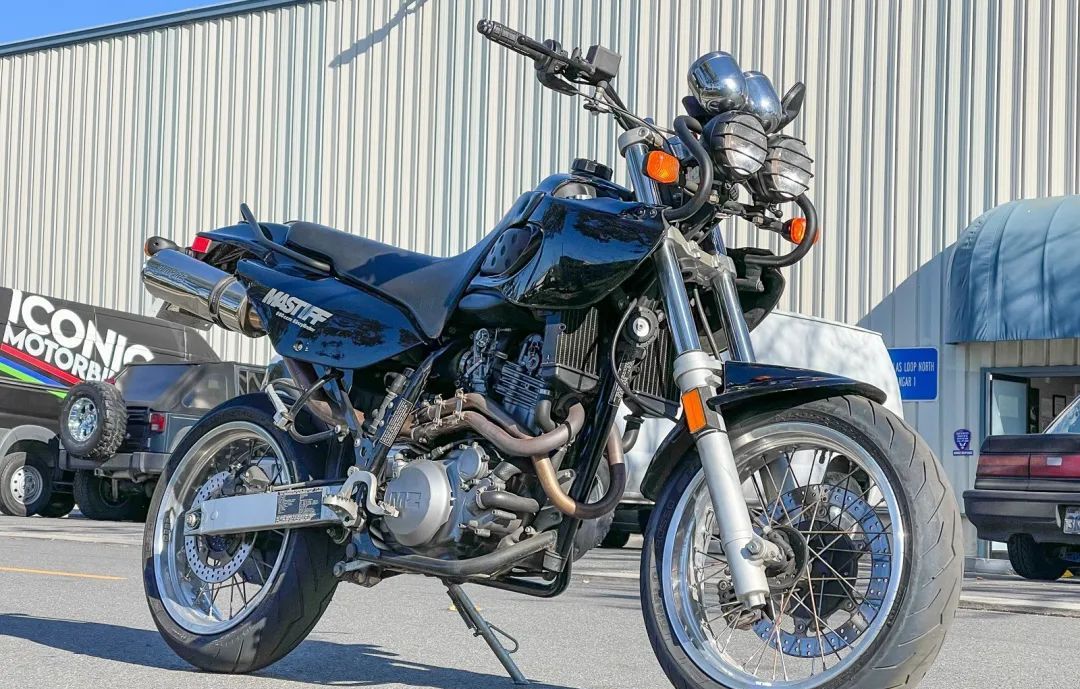 mz大单缸660獒犬